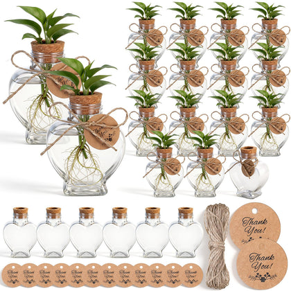Baderke plant propagation bottles, 24-pack, clear view of root growth.