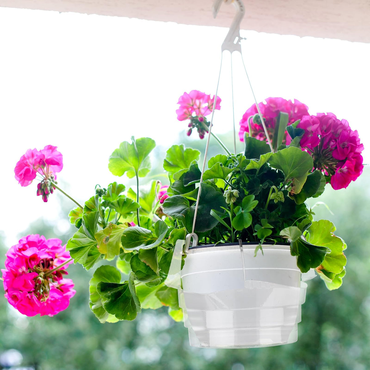 Baderke compatible trays fit 4–10 inch pots.