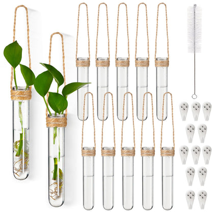 Baderke propagation tubes 12-pack, clear plastic, ideal for watching root development