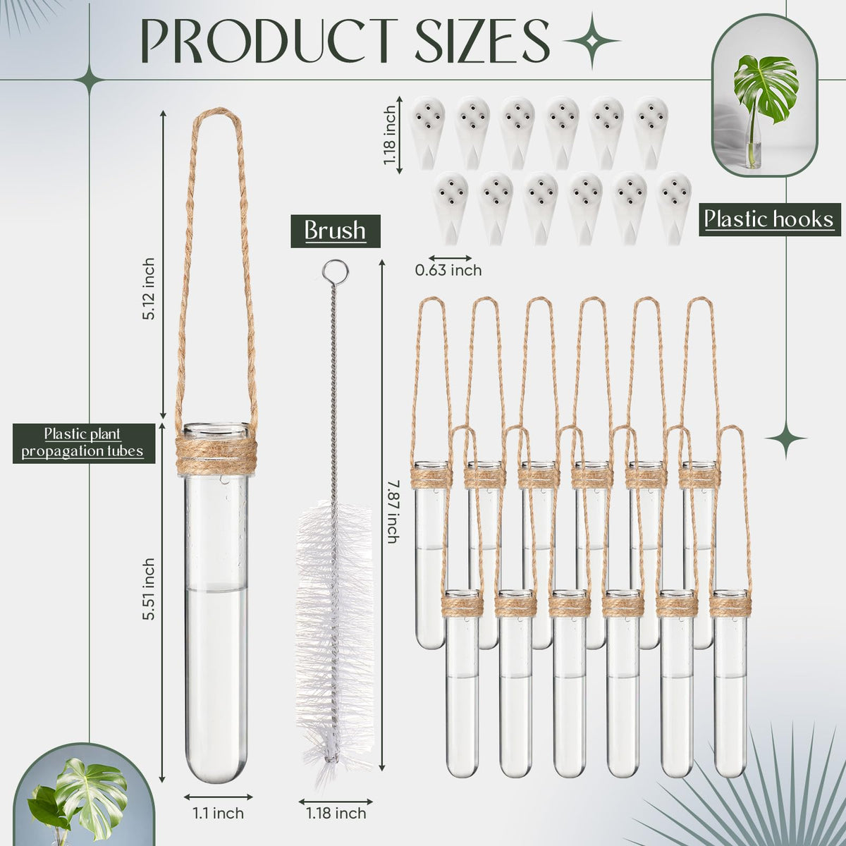 Baderke propagation tubes hanging setup demonstrates versatile wall display for indoor plants
