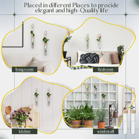 Baderke propagation tubes living room decor showcasing greenery with style