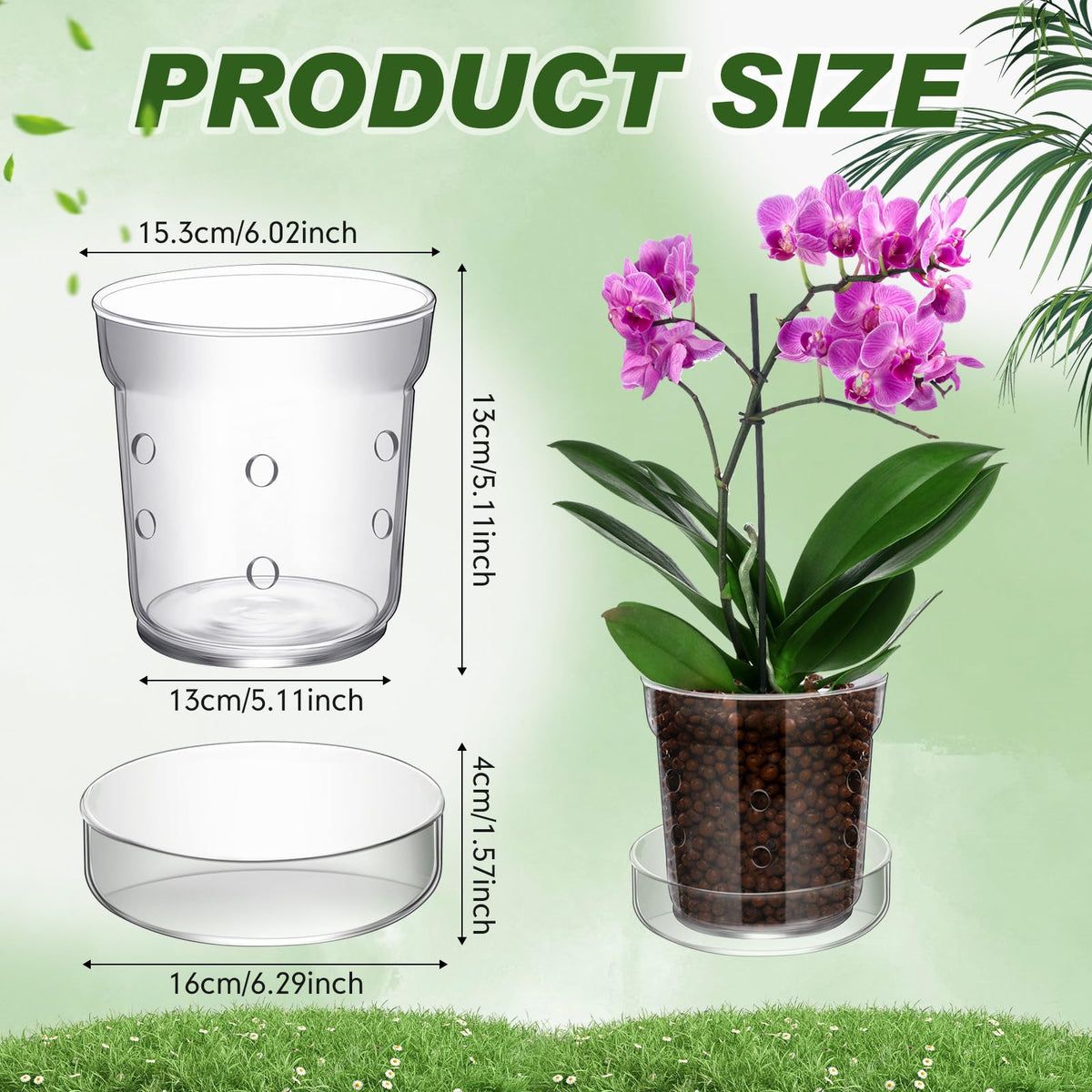 Baderke transparent glass orchid pot clearly displays roots for easy monitoring.