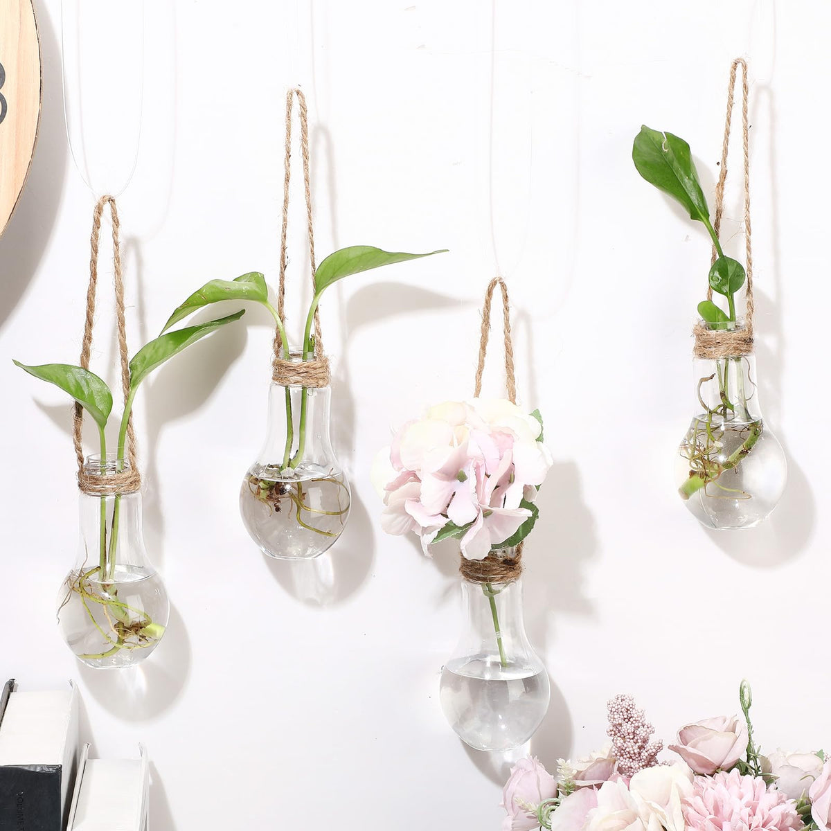 Baderke transparent tubes highlight plant growth from every angle.