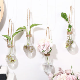 Baderke transparent tubes highlight plant growth from every angle.