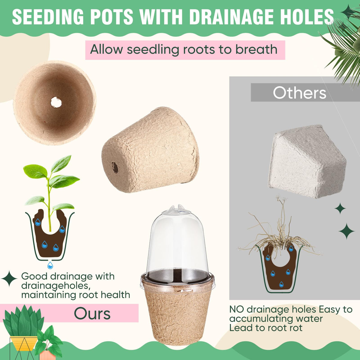 Baderke transplant tools simplify moving seedlings with minimal root disturbance.