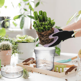 Baderke tray design helps catch drips and retain moisture