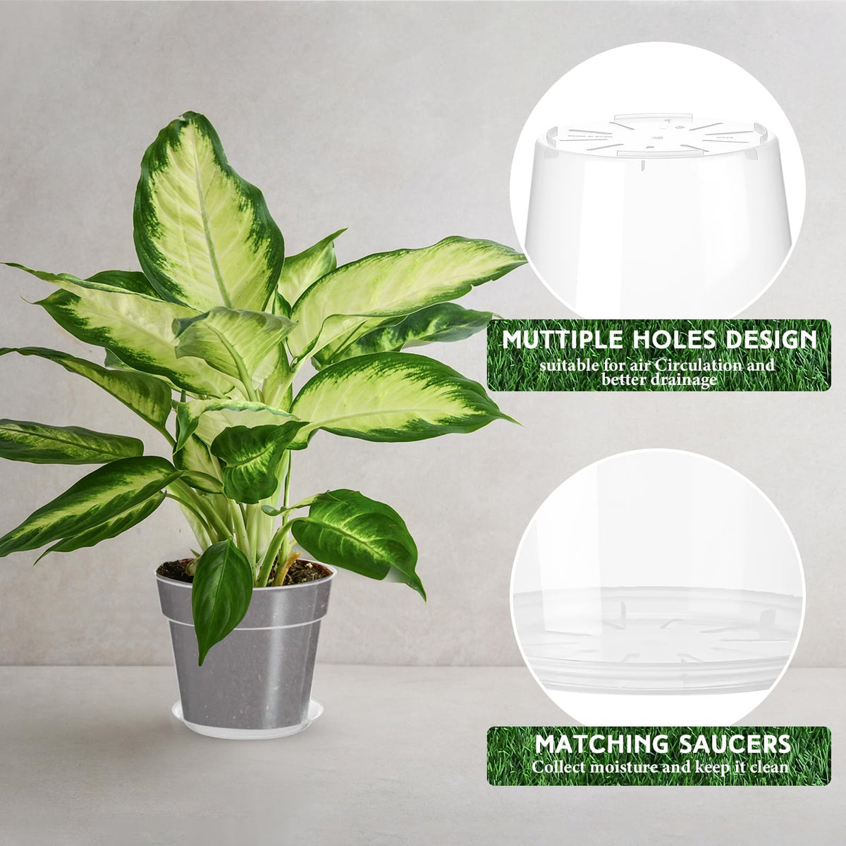 Baderke vented drainage holes promote airflow and root monitoring
