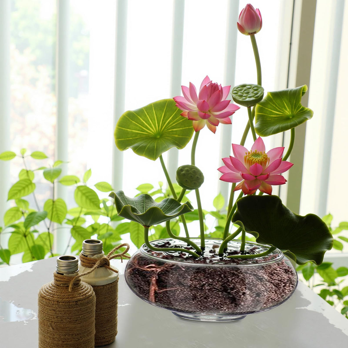 Baderke water lily-friendly planter, suitable for small to medium plants like succulents.