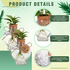 Baderke wooden plug and bottle design for stable plant insertion.