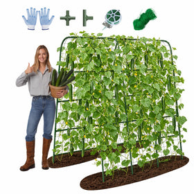 BAG WIZARD 63-inch arch trellis for vertical cucumber growth in raised beds.