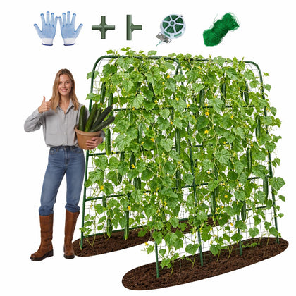 BAG WIZARD 63-inch arch trellis for vertical cucumber growth in raised beds.