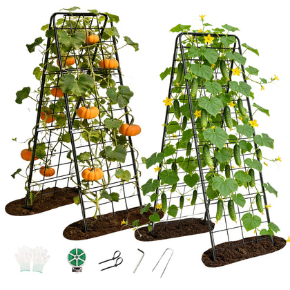 BAG WIZARD garden trellis 50x16 provides sturdy vertical support for climbing plants.