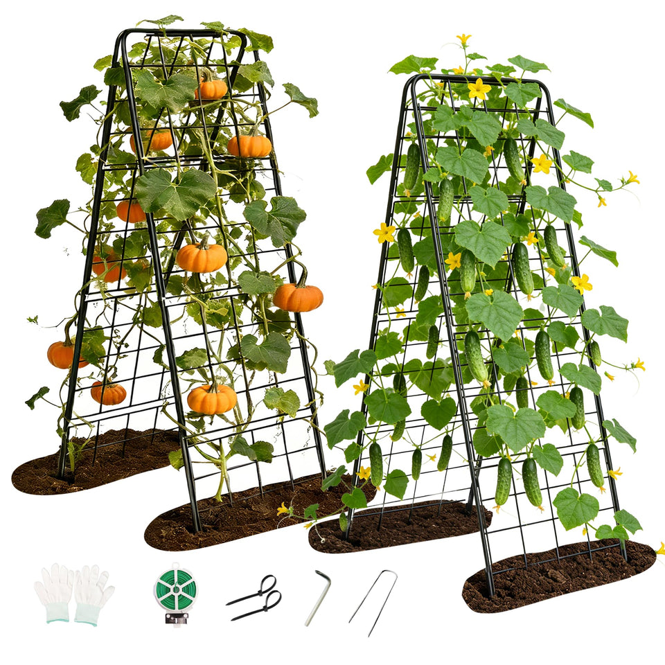 BAG WIZARD garden trellis 50x16 provides sturdy vertical support for climbing plants.