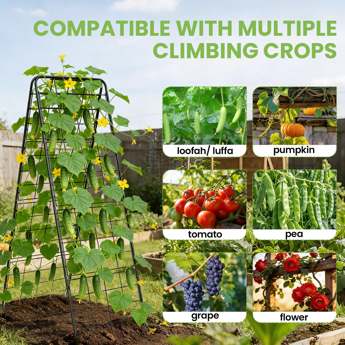 Bag Wizard Garden Trellis A frame design offers strong ground grip in wind