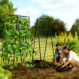 Bag Wizard Garden Trellis heavy duty 1 cm frame provides robust support for fruit