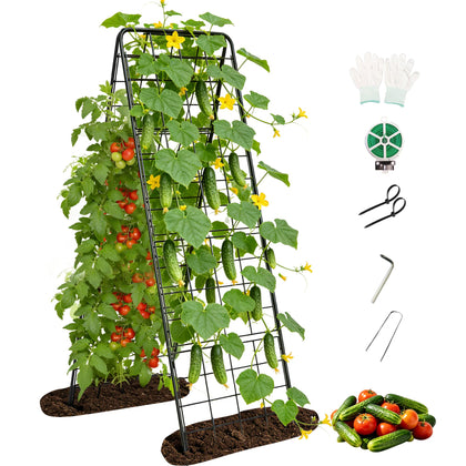 Bag Wizard Garden Trellis side view shows sturdy 1 cm frame supporting climbing cucumbers