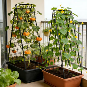 Bag Wizard Garden Trellis vertical growth setup keeps plants off soil