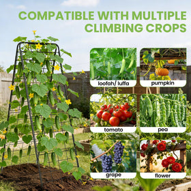 BAG WIZARD heavy-duty 1cm metal trellis withstands outdoor conditions.