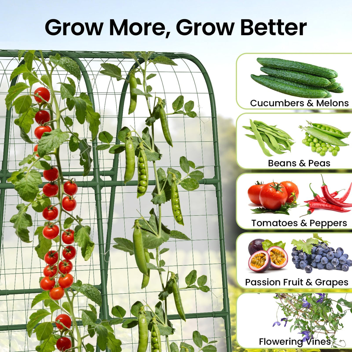 BAG WIZARD outdoor garden arch supports climbing plants while improving airflow.