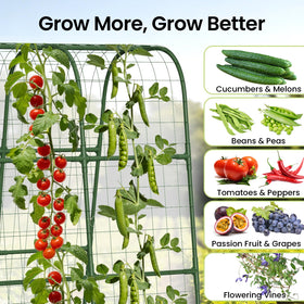 BAG WIZARD outdoor garden arch supports climbing plants while improving airflow.