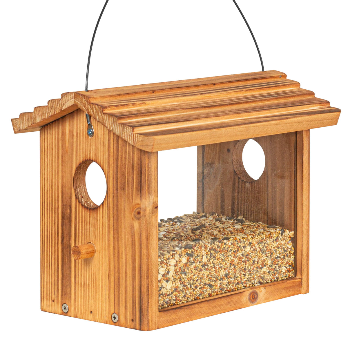 BalterFF blue cardinal feeder attracting colorful cardinals for backyard bird watching