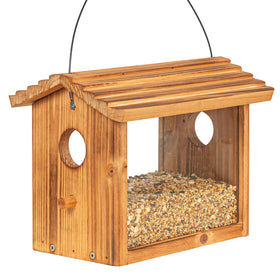 BalterFF blue cardinal feeder attracting colorful cardinals for backyard bird watching