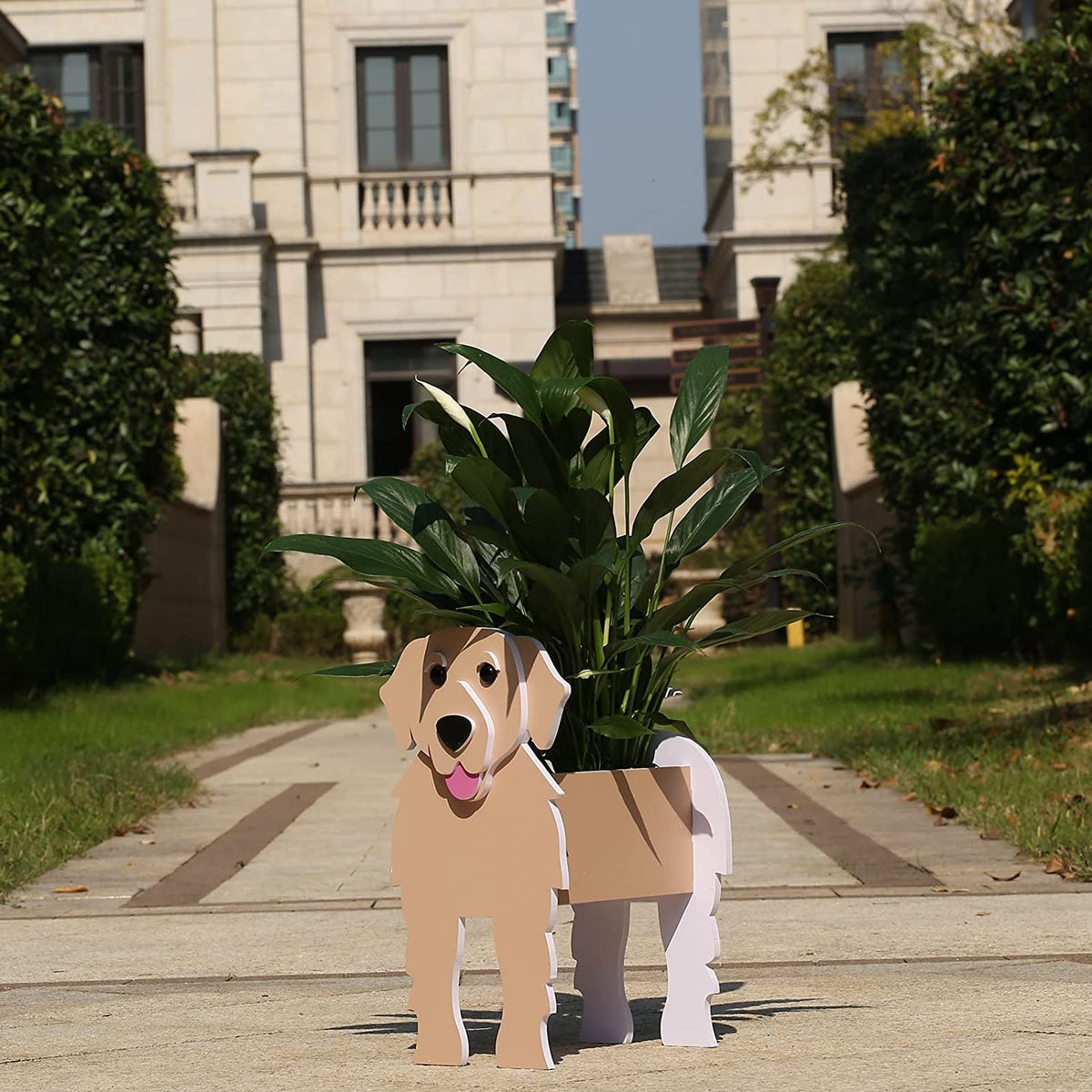 Bamboo's Grocery LoKii detachable dog planter supports plants and acts as a handy organizer.
