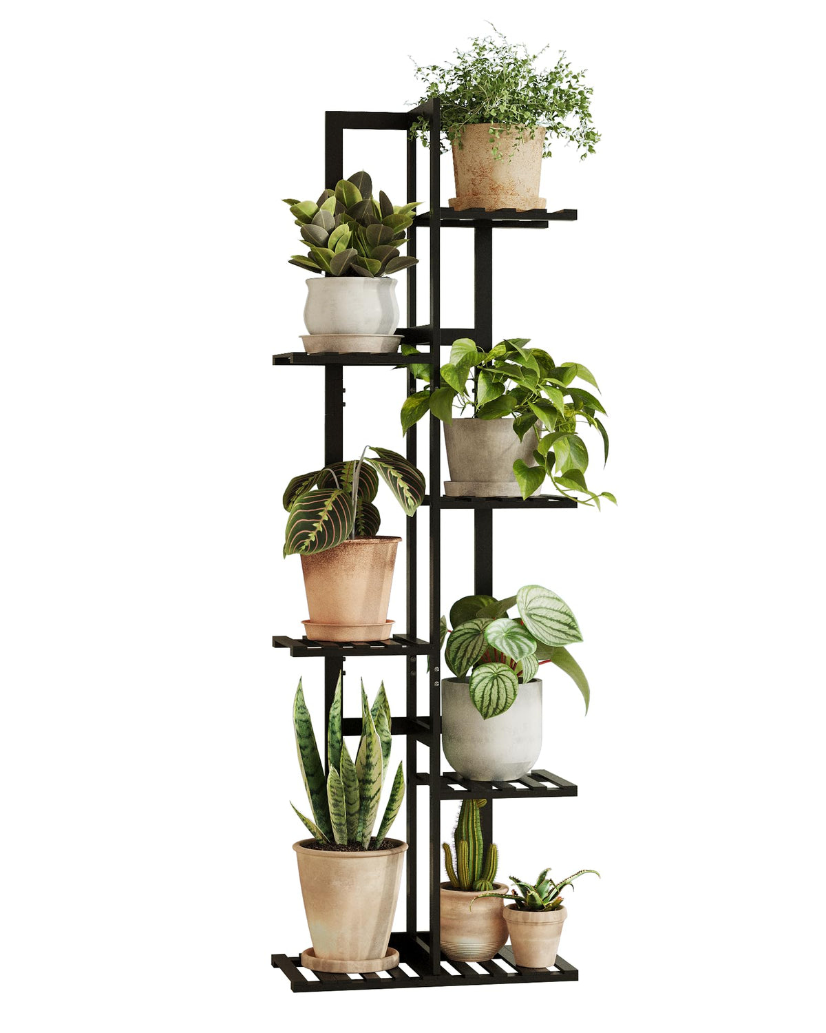 Bamworld 48-inch tall plant stand accommodates varied plant heights.