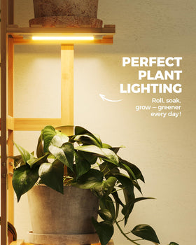 Bamworld grow light mode-warm highlighting plant growth