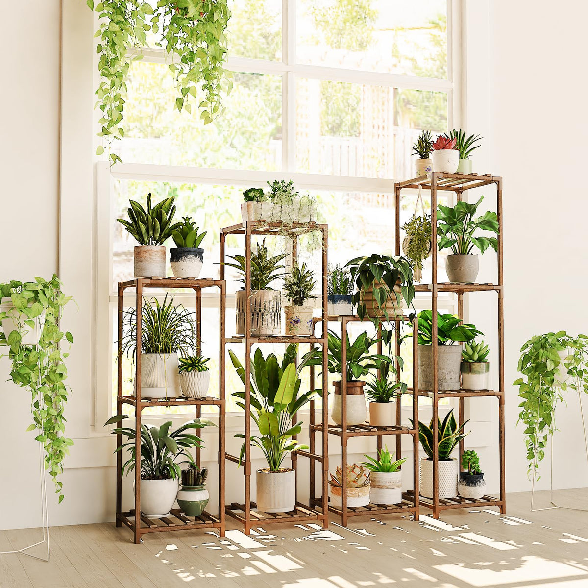 Bamworld durable stands to showcase your plant collection.