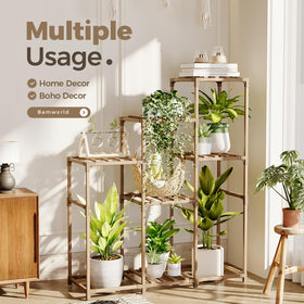 Bamworld capacity for eight pots keeps plants organized.