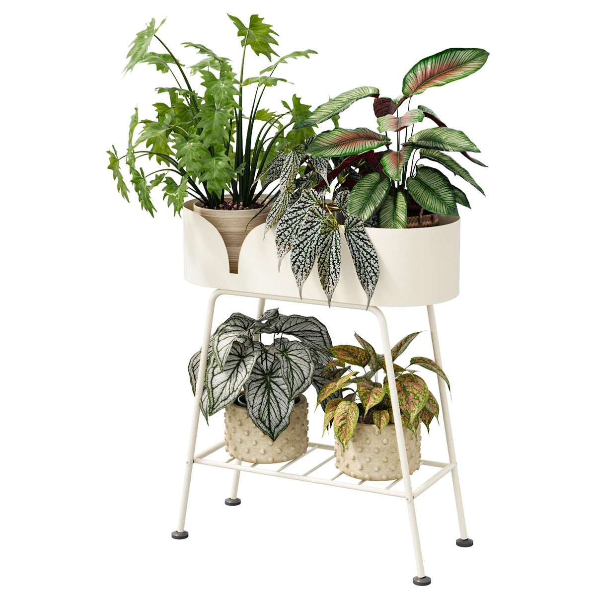 Bamworld living room plant display showcasing greenery in a bright corner.