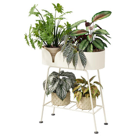 Bamworld living room plant display showcasing greenery in a bright corner.