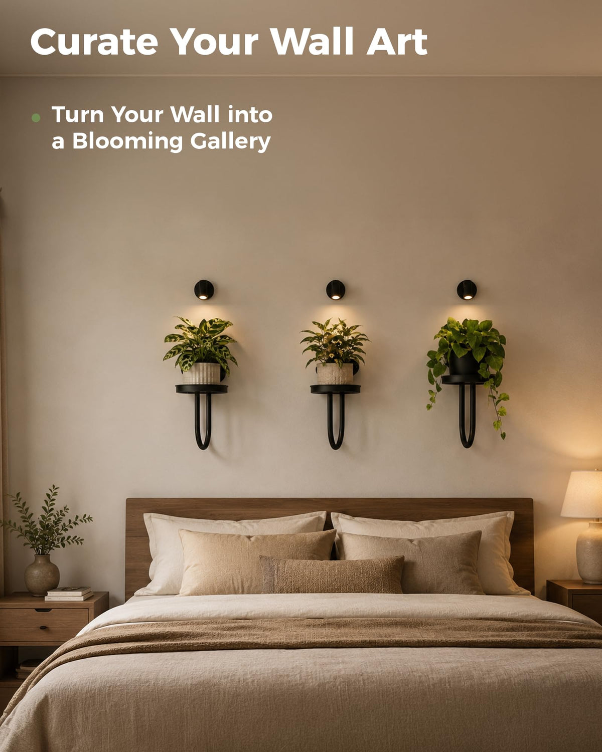 Bamworld modern plant hanger for living room adds contemporary style.