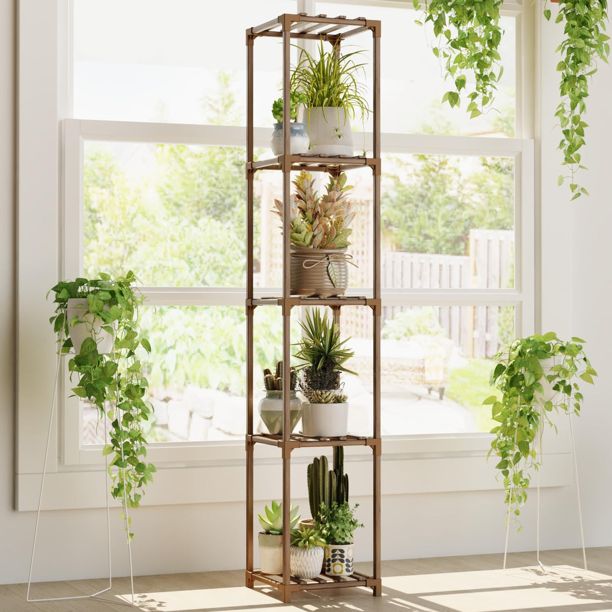 Bamworld multi-plant display helps organize succulents and ferns.