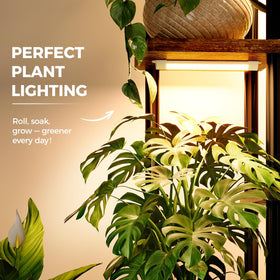 Bamworld plant shelf in a living room blending with modern decor.
