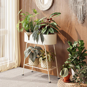 Bamworld 2-tier white plant stand displaying tall greenery indoors and outdoors.