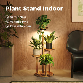 Bamworld black iron frame offers modern style and steady plant showcases.