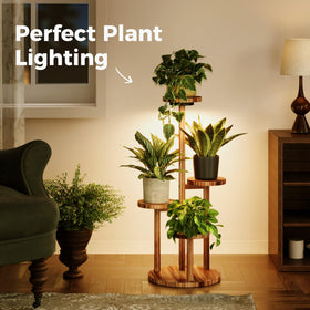 Bamworld natural wood trays add warmth and sturdy support for indoor greenery.