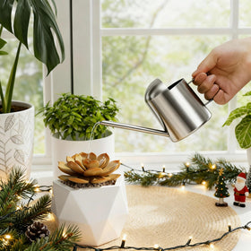 Bamworld small watering can with long spout for precise indoor watering
