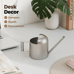 Bamworld stainless steel mini watering bottle ideal for delicate indoor plants