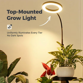 Bamworld sturdy metal frame ensures durable plant storage.
