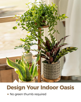 Bamworld sturdy plant stand supports up to 15 pounds per tier