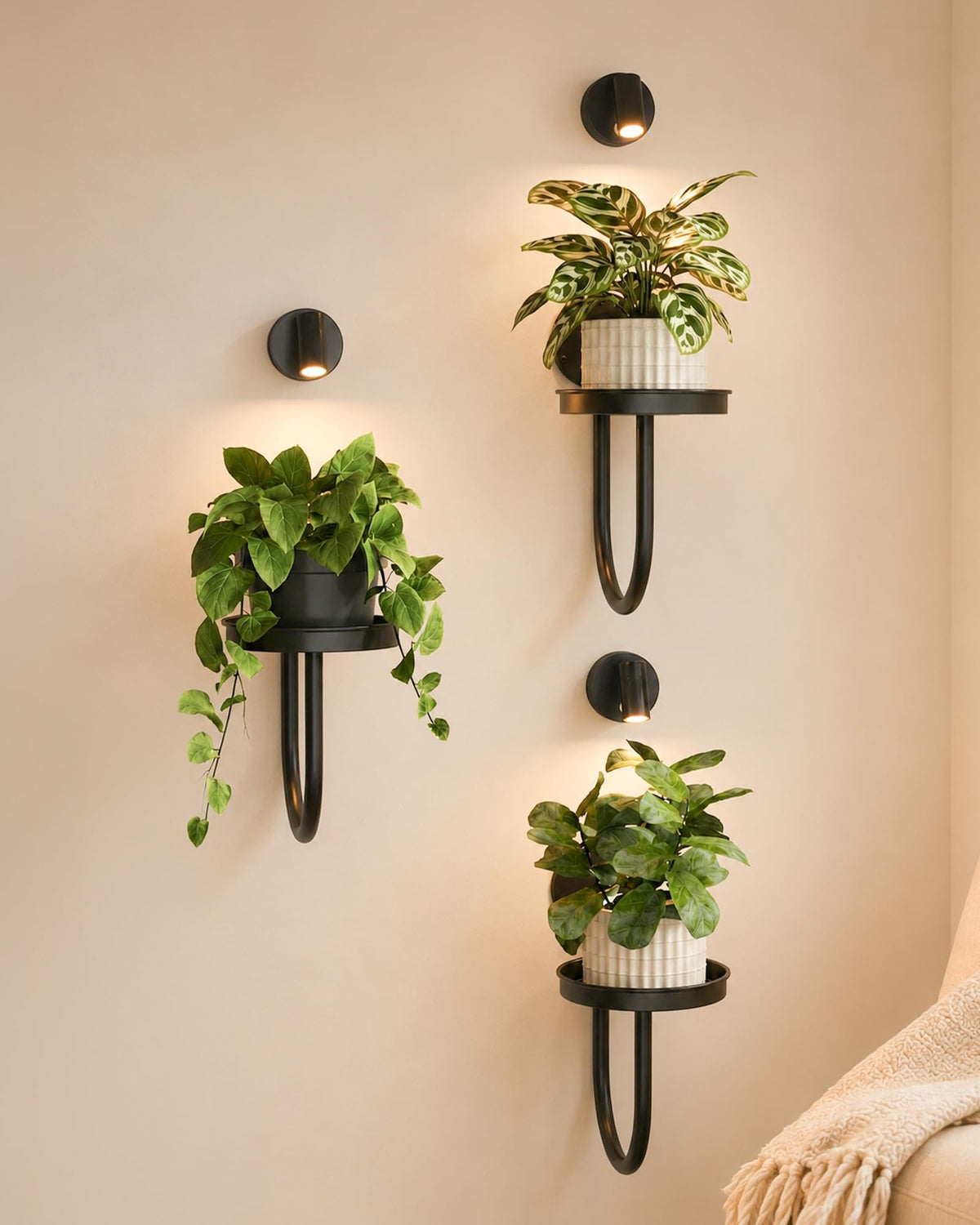 Bamworld wall decor plant stand with lights for stylish indoor greenery.