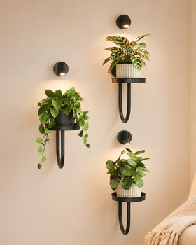 Bamworld wall decor plant stand with lights for stylish indoor greenery.