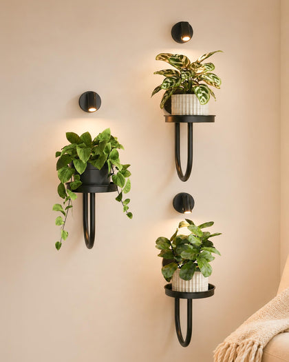 Bamworld wall decor plant stand with lights for stylish indoor greenery.