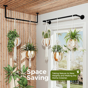Bamworld wall-mount hanging plant holder shows space-saving design for compact rooms.