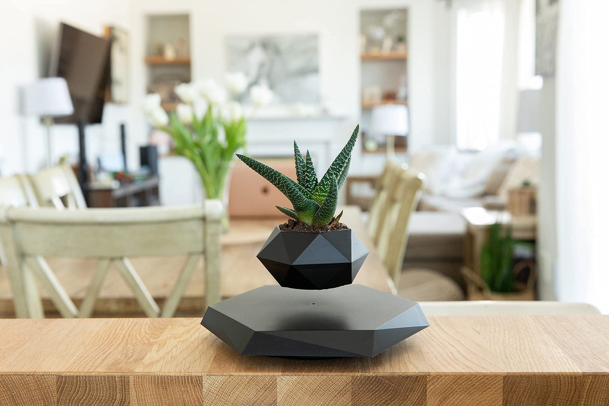 BandDlevs floating pot in black ABS material with sleek, durable finish.