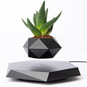 BandDlevs floating pot displays a bonsai midair for striking desk focal point.