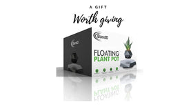 BandDlevs levitating planter makes a memorable gift for plant lovers.